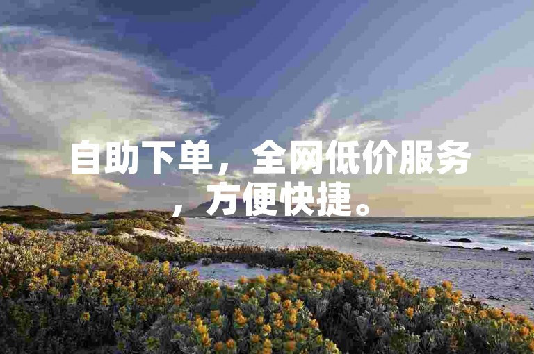 自助下单，全网低价服务，方便快捷。