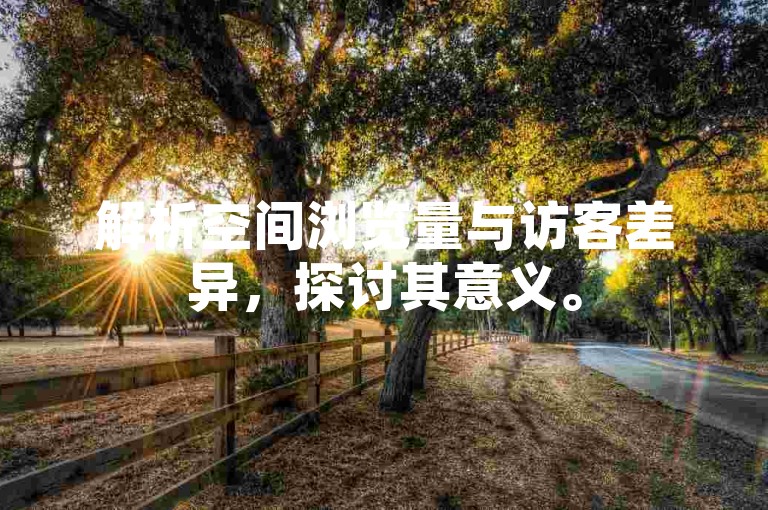 解析空间浏览量与访客差异，探讨其意义。