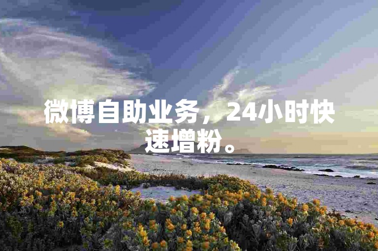 微博自助业务，24小时快速增粉。