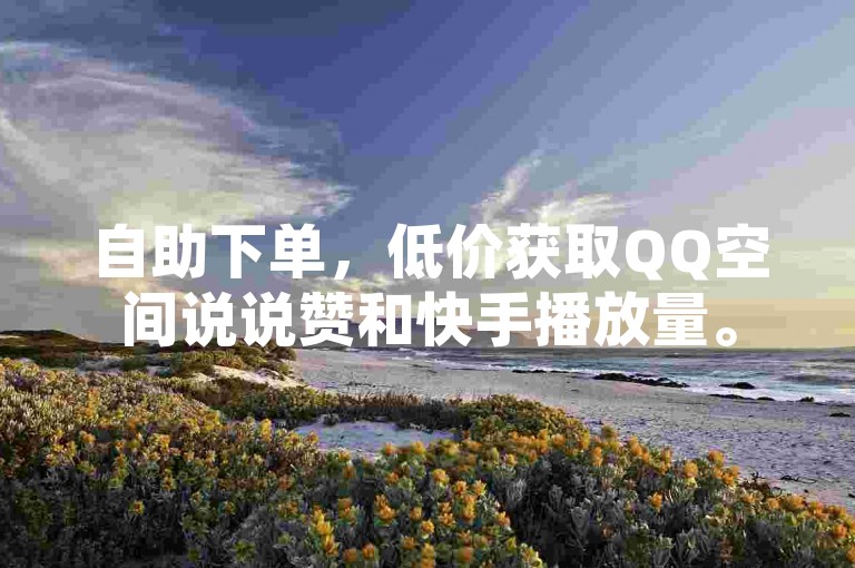自助下单，低价获取QQ空间说说赞和快手播放量。