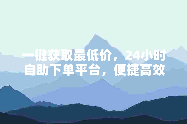 一键获取最低价，24小时自助下单平台，便捷高效。