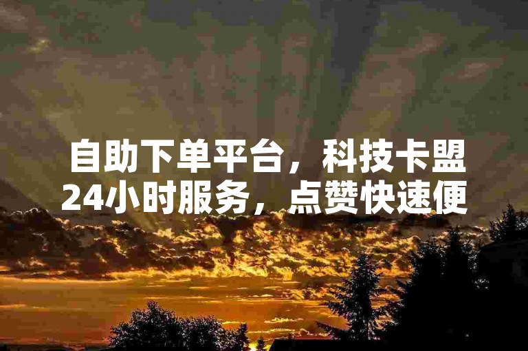 自助下单平台，科技卡盟24小时服务，点赞快速便捷。
