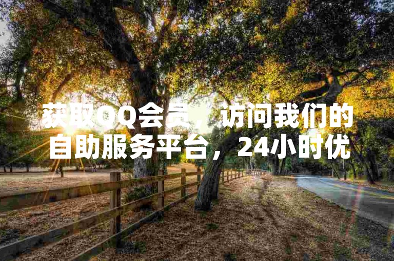 获取QQ会员，访问我们的自助服务平台，24小时优惠不断。