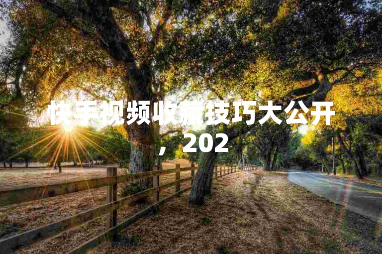快手视频收藏技巧大公开，2025年必学提升方法！
