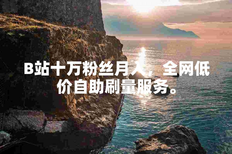 B站十万粉丝月入，全网低价自助刷量服务。