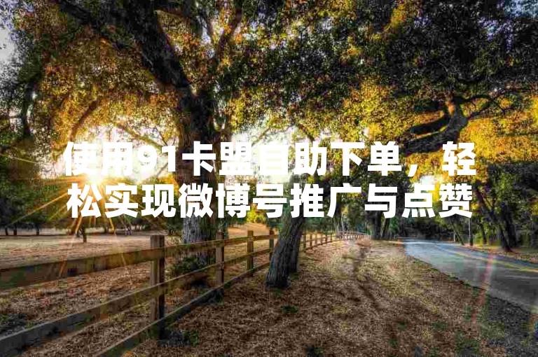 使用91卡盟自助下单，轻松实现微博号推广与点赞。