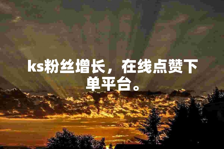ks粉丝增长，在线点赞下单平台。