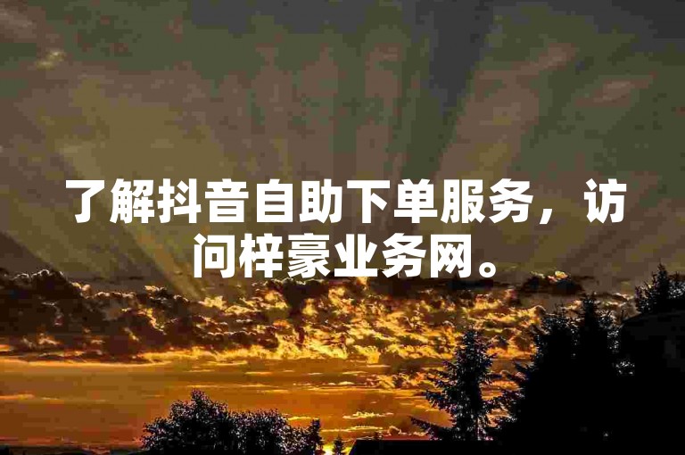 了解抖音自助下单服务，访问梓豪业务网。