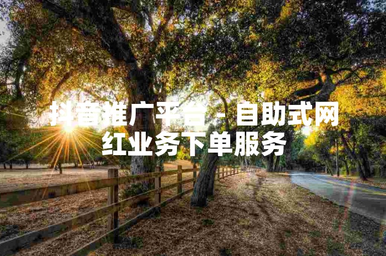 抖音推广平台 - 自助式网红业务下单服务