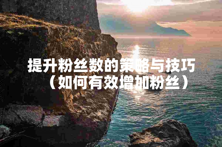 提升粉丝数的策略与技巧（如何有效增加粉丝）