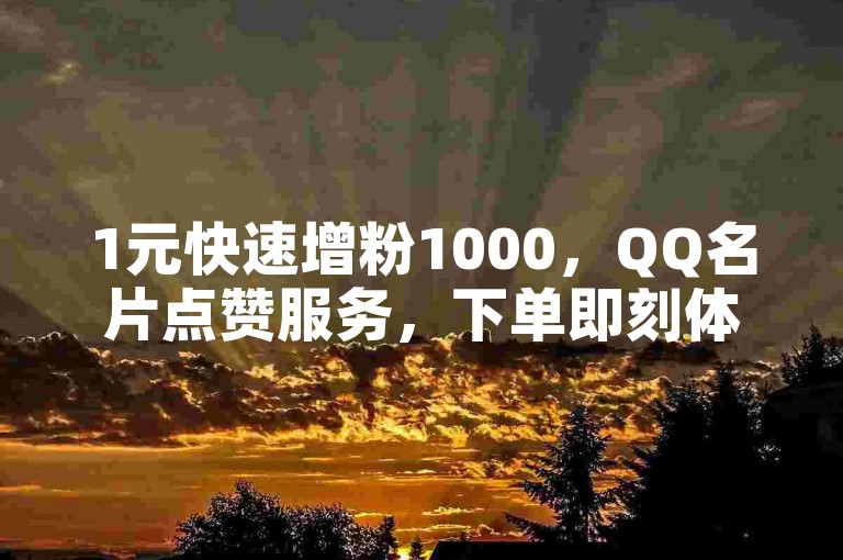 1元快速增粉1000，QQ名片点赞服务，下单即刻体验。
