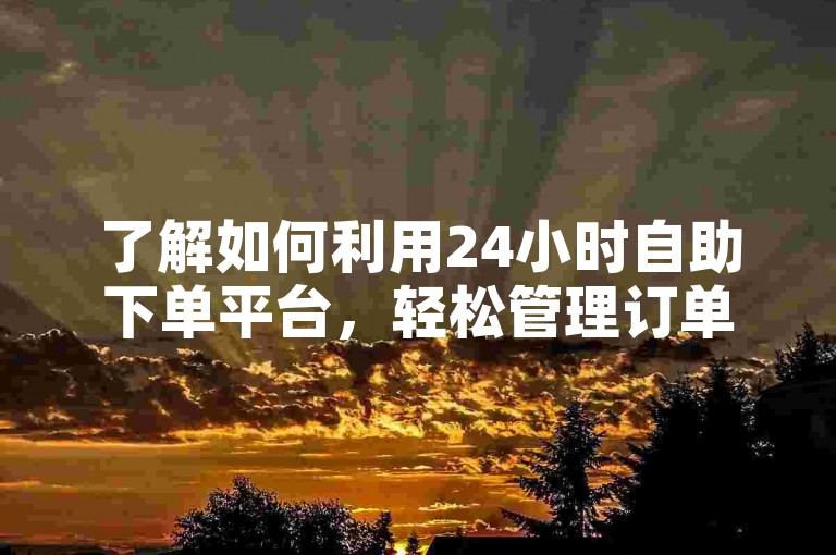 了解如何利用24小时自助下单平台，轻松管理订单与业务。