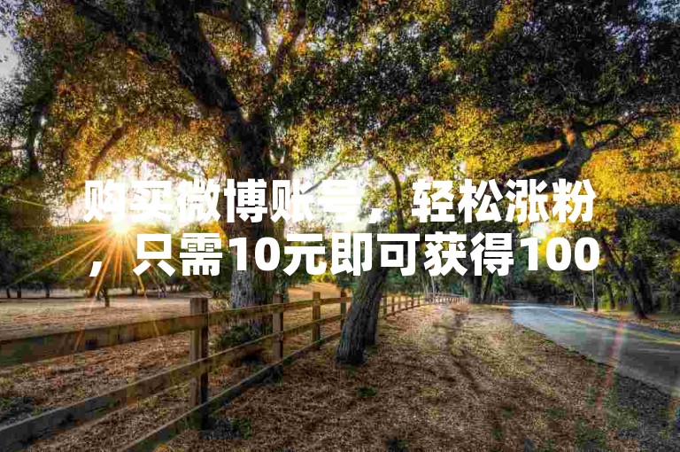 购买微博账号，轻松涨粉，只需10元即可获得1000票。