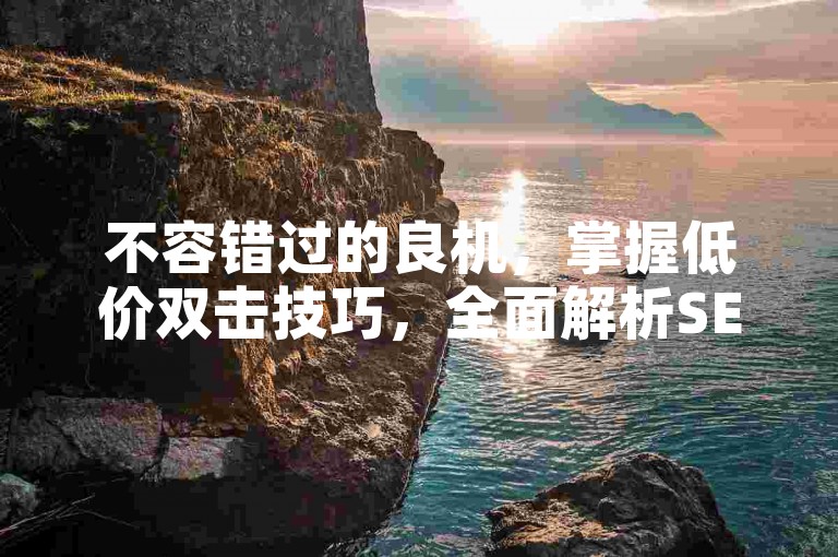 不容错过的良机，掌握低价双击技巧，全面解析SEO腾飞策略。