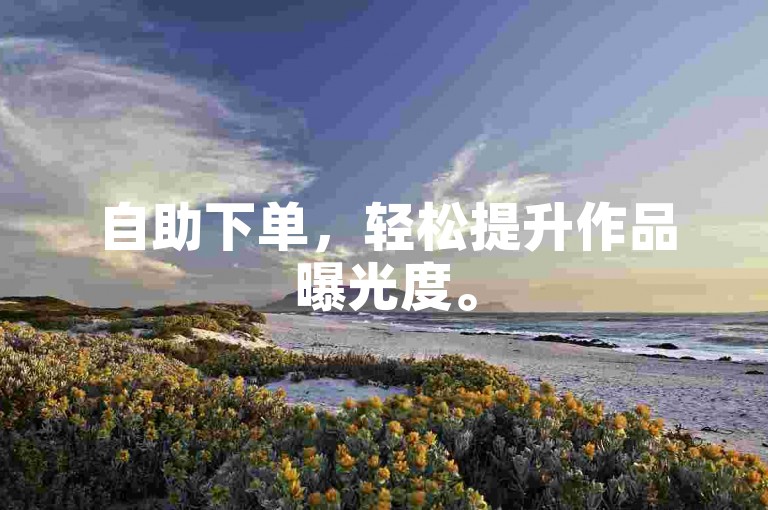 自助下单，轻松提升作品曝光度。