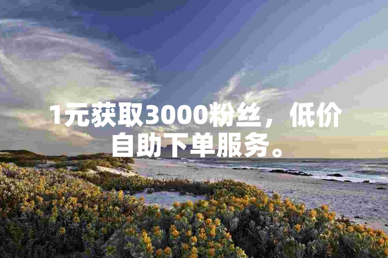1元获取3000粉丝，低价自助下单服务。