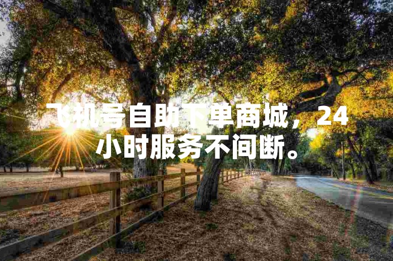 飞机号自助下单商城，24小时服务不间断。