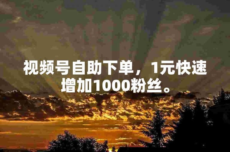 视频号自助下单，1元快速增加1000粉丝。