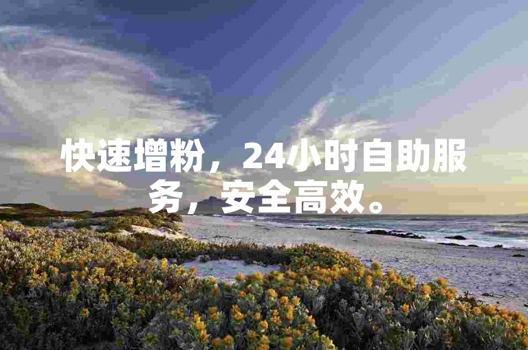 快速增粉，24小时自助服务，安全高效。