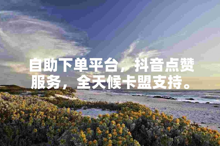 自助下单平台，抖音点赞服务，全天候卡盟支持。