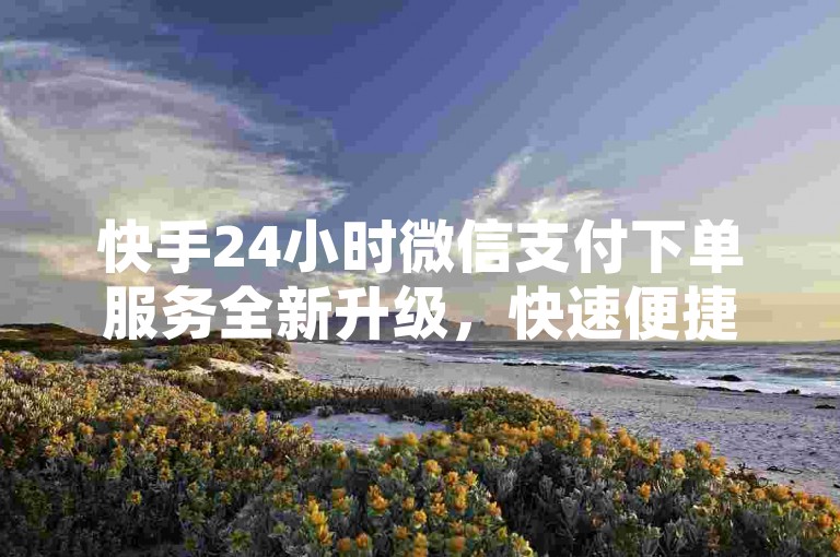 快手24小时微信支付下单服务全新升级，快速便捷。