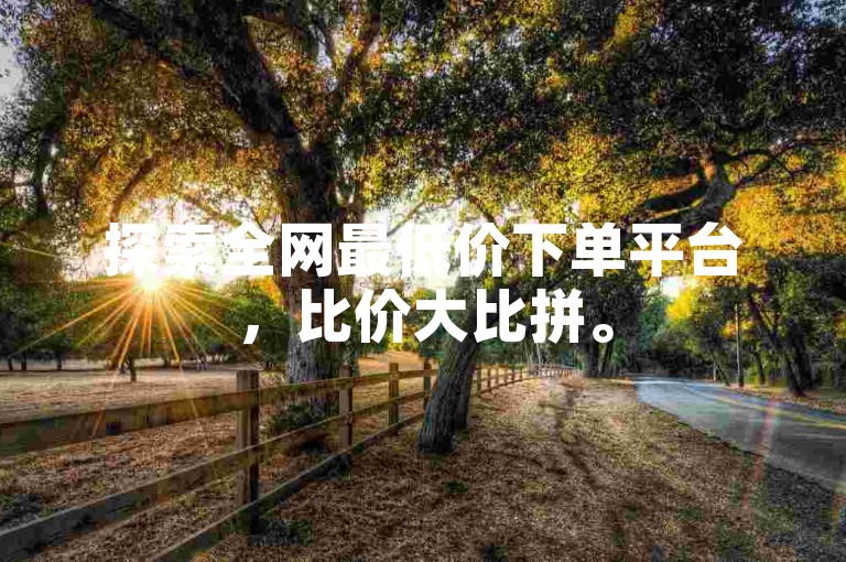 探索全网最低价下单平台，比价大比拼。