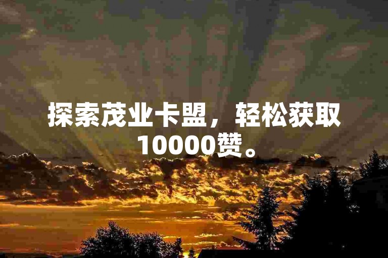 探索茂业卡盟，轻松获取10000赞。