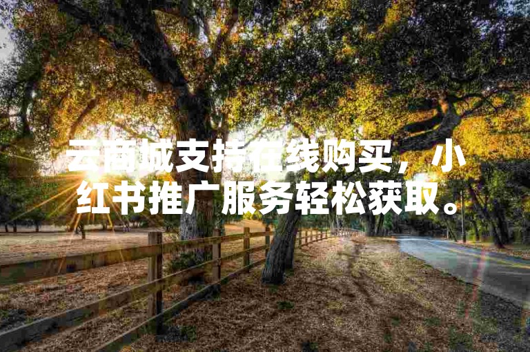 云商城支持在线购买，小红书推广服务轻松获取。