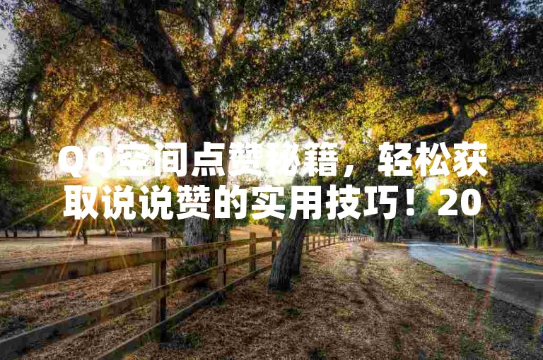 QQ空间点赞秘籍，轻松获取说说赞的实用技巧！2025必备。