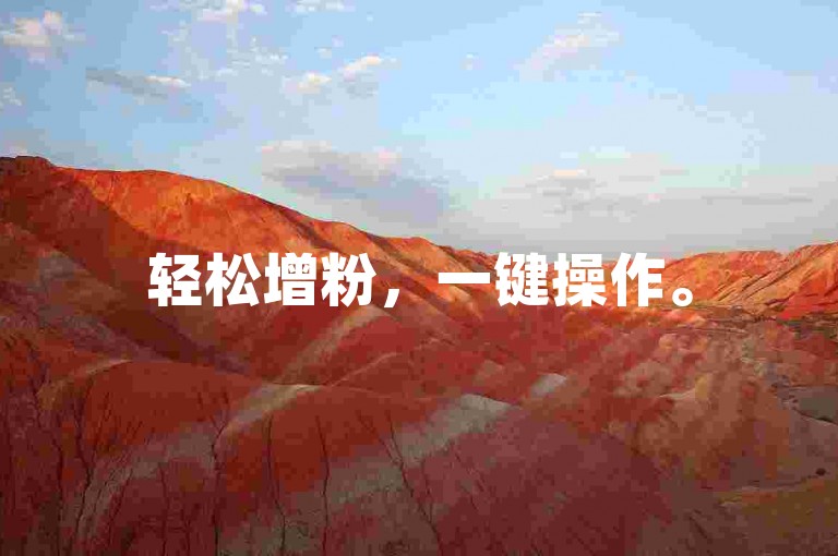 轻松增粉，一键操作。