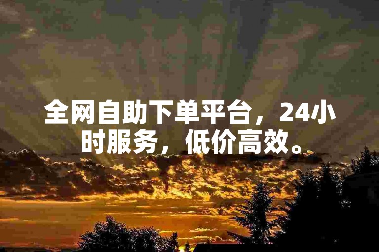 全网自助下单平台，24小时服务，低价高效。