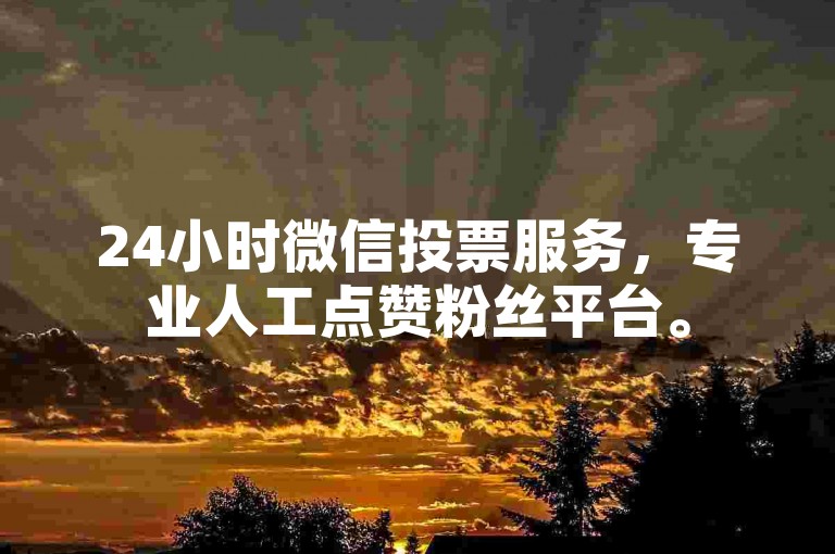 24小时微信投票服务，专业人工点赞粉丝平台。