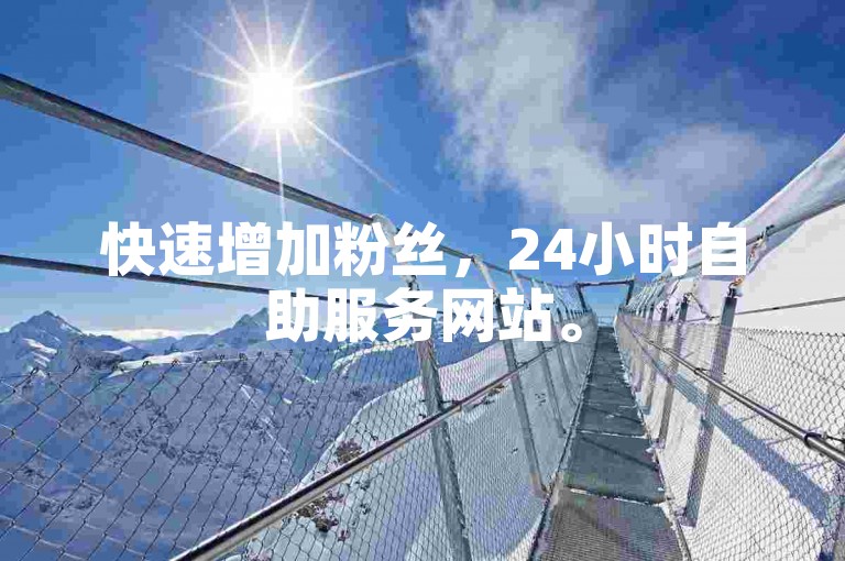 快速增加粉丝，24小时自助服务网站。