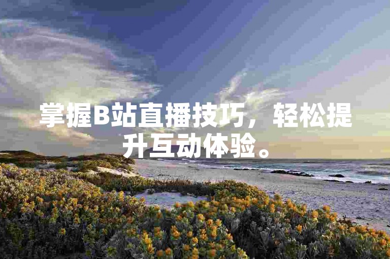 掌握B站直播技巧，轻松提升互动体验。