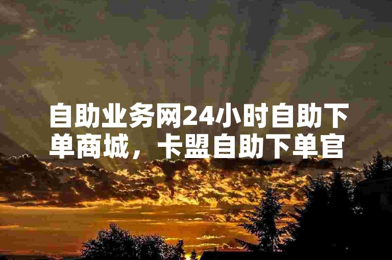 自助业务网24小时自助下单商城，卡盟自助下单官网。