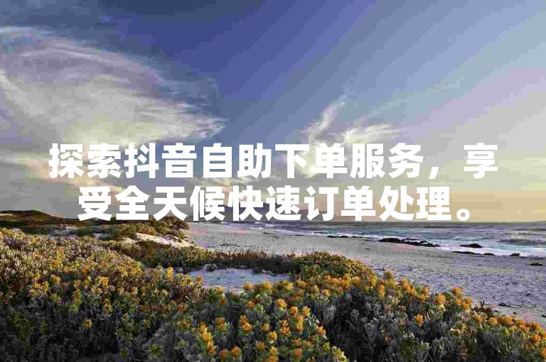 探索抖音自助下单服务，享受全天候快速订单处理。
