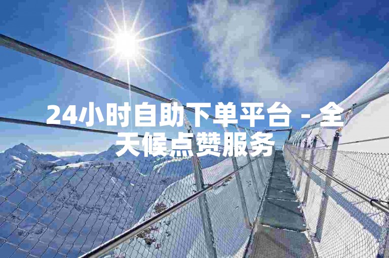 24小时自助下单平台 - 全天候点赞服务