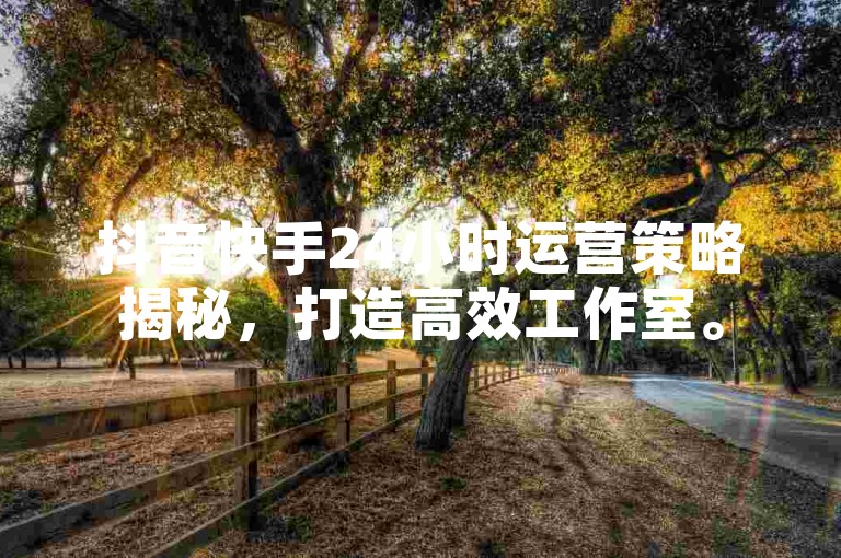 抖音快手24小时运营策略揭秘，打造高效工作室。