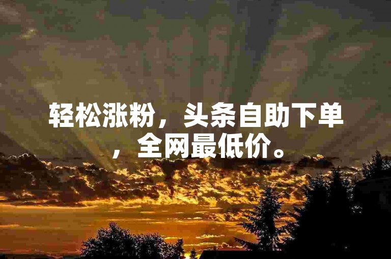 轻松涨粉，头条自助下单，全网最低价。