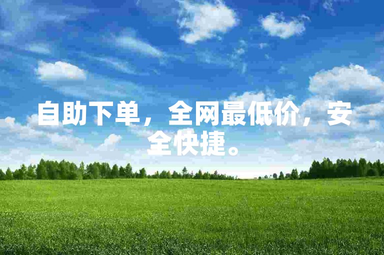 自助下单，全网最低价，安全快捷。