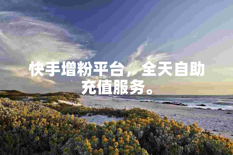 快手增粉平台，全天自助充值服务。