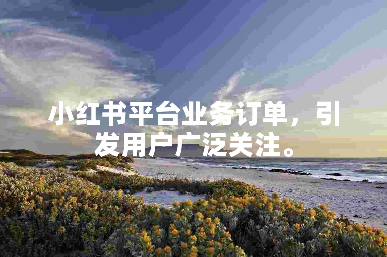 小红书平台业务订单，引发用户广泛关注。