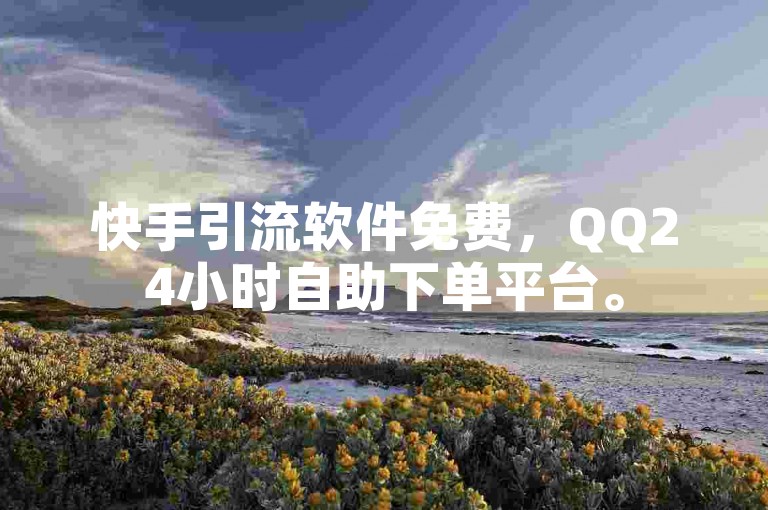 快手引流软件免费，QQ24小时自助下单平台。