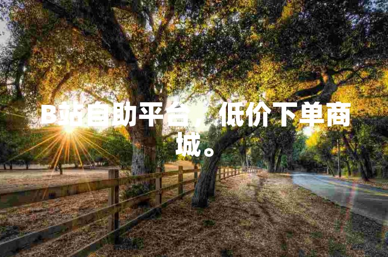 B站自助平台，低价下单商城。