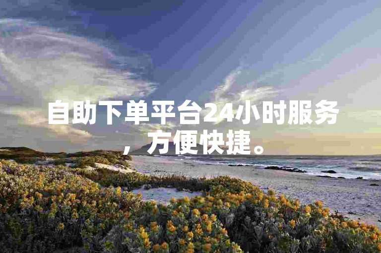 自助下单平台24小时服务，方便快捷。