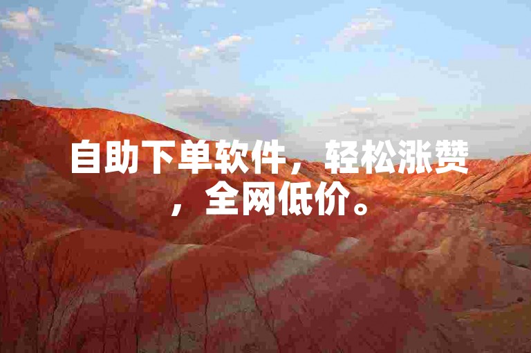 自助下单软件，轻松涨赞，全网低价。