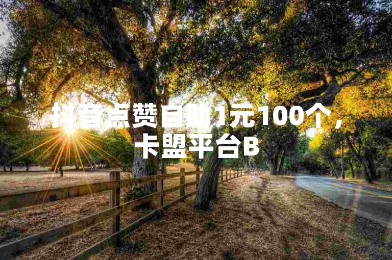 抖音点赞自助1元100个，卡盟平台B