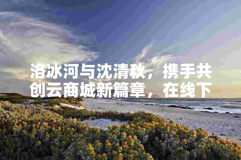 洛冰河与沈清秋，携手共创云商城新篇章，在线下单便捷无忧。
