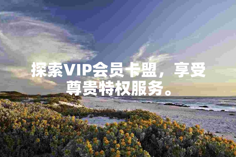 探索VIP会员卡盟，享受尊贵特权服务。