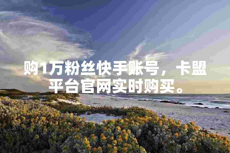 购1万粉丝快手账号，卡盟平台官网实时购买。